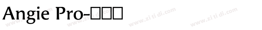 Angie Pro字体转换
